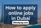 Guide to Applying for Visas to Dubai, Germany, France, Canada, America, and Australia in 2026